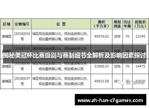 揭秘美冠杯比赛级别与赛制细节全解析及影响因素探讨
