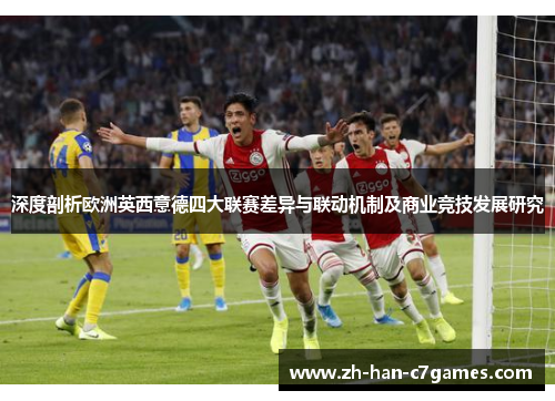 深度剖析欧洲英西意德四大联赛差异与联动机制及商业竞技发展研究