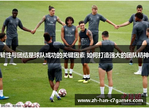 韧性与团结是球队成功的关键因素 如何打造强大的团队精神