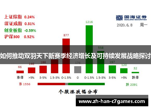 如何推动双羽天下新赛季经济增长及可持续发展战略探讨