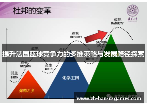 提升法国篮球竞争力的多维策略与发展路径探索